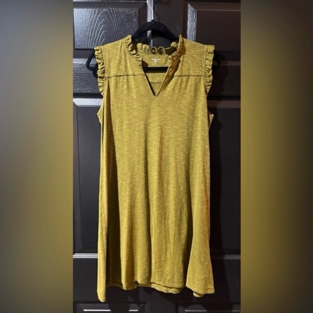 Garnet Hill Shift Dress
